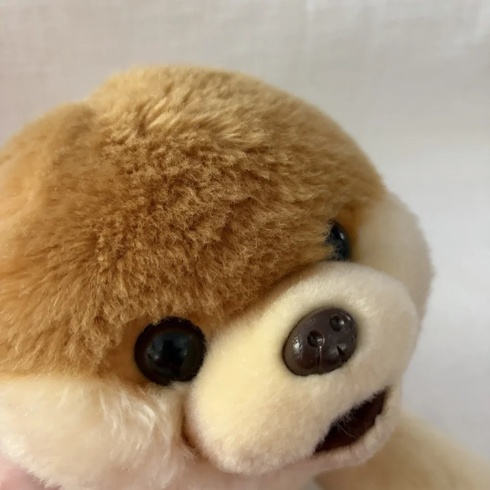 Gund Boo The World's Cutest‎ Dog Pomeranian Laying Down 14